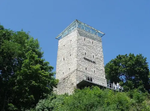 Panoramic Tampa Ride